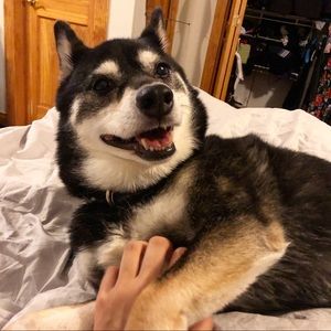 Meet your Posher, Sami